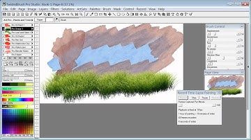 TwistedBrush Tutorials: Record Time-Lapse Painting - Part 2