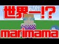 自分が世界一だと言い張るキッズを成敗してみた。【WiiUマイクラ】