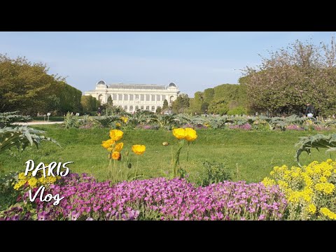 วีดีโอ: สวน Jardin des Plantes ของปารีส: คู่มือฉบับสมบูรณ์