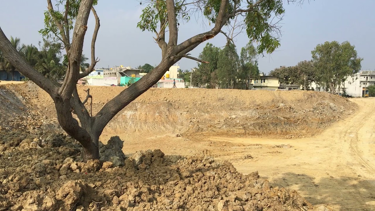 Lake Dyavasandra, India 2021