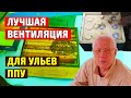 Состояние пчел в ульях ппу и вентиляция улья зимой