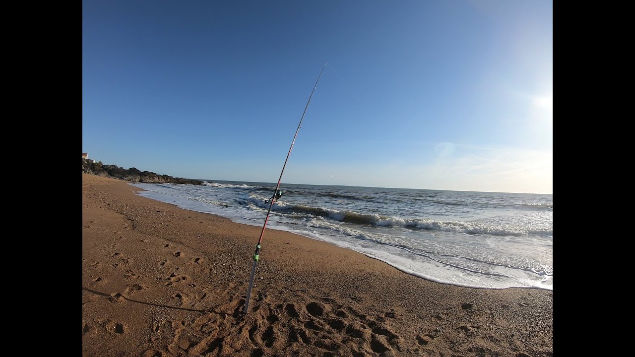 Pêche d'un GROS BAR Avril 2022