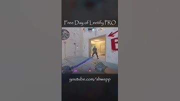 Free Day of Leetify PRO #csgo #wtfcsgo #gaming #counterstrikefact #training #counterstrike #cs2 #cs
