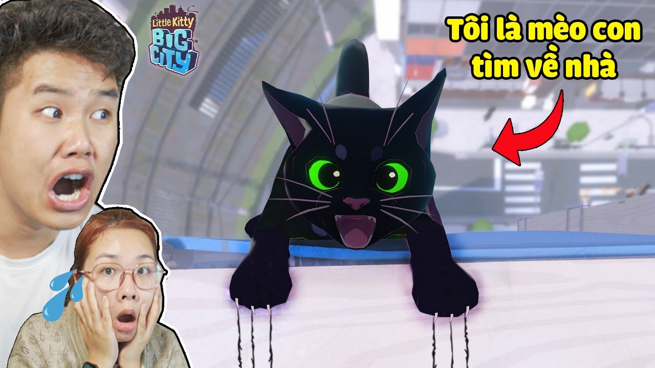 Talking Tom 🐾 Let's Play Fetch | Cartoon for kids Kedoo ToonsTV