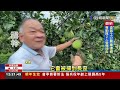 中颱杜蘇芮來勢洶洶 農民搶收作物防災 中颱杜蘇芮來勢洶洶 農民搶收作物防災