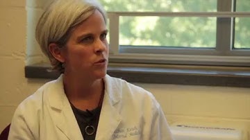 The Science of Soil Health: Understanding the Value of Legumes and Nitrogen-Fixing Microbes