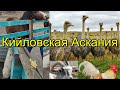 Кийловская Аскания