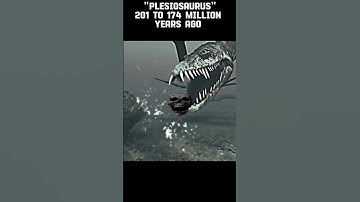 MEGALODON VS COLLOSAL DINOSAURS AGE COMPARISON,DASPLETOSAURUS, MOSASAUR,ETC#prehistoric #dino#shorts
