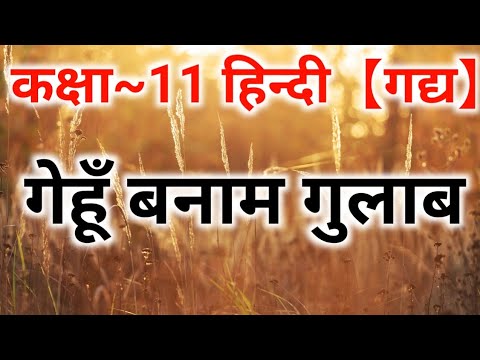 Class 11 Hindi Chapter 8 गेहूँ बनाम गुलाब Gehoon Banam Gulab Ramvraksh Benipuri Full Explanation