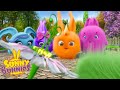 SUNNY BUNNIES - As You Wish | Season 1 | Cartoons for Children