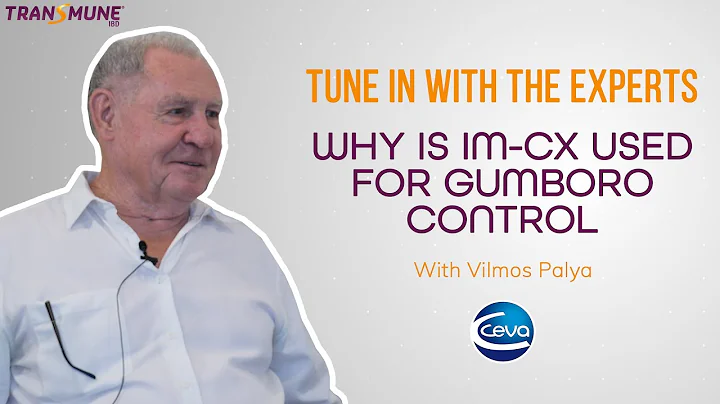 Why is Immune complex vaccine used for Gumboro control in Poultry (with Vilmos Palya)