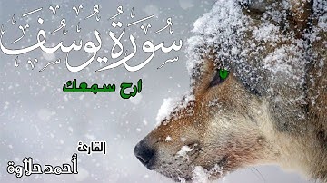 اجمل تلاوة صوت هادئ ❤ كهدوء الليل || سبحان من رزقه هذا الصوت