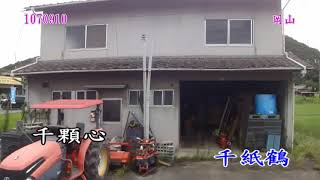 1070906日本山陰山陽之旅96千紙鶴(邰正宵)
