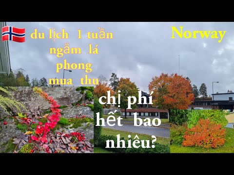 Video: Làm Việc Tại Ngôi Nhà Nhỏ Mùa Hè Vào Mùa Thu (có Video)