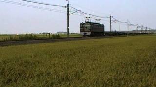 EF65 57　鹿島貨物　成田線