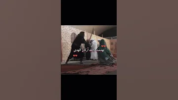 تهدمت والله أركان الهدى ياعلي شيعة علي لاتنسوا الاشتراك في القناة وتفعيل الجرس 