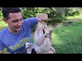 FISHING WITH A TURKEY
