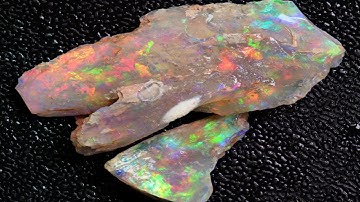 40.8 cts Australian Opal Rough, Lightning Ridge Wood Fossils