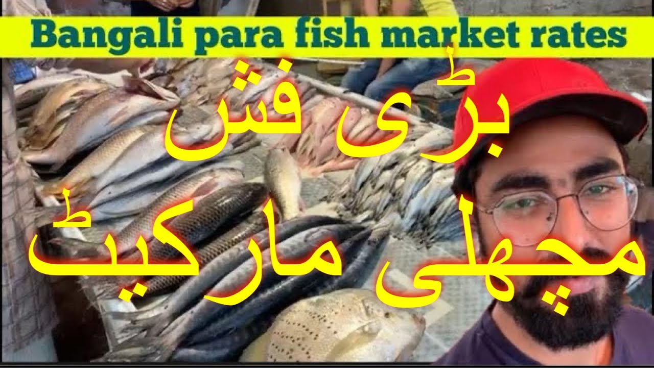 Fish market bangali para l Cheap rate fish market lSasta machli bazar khi l