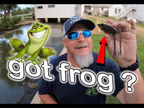 Frog Fishing Gone Wild!!! - YouTube