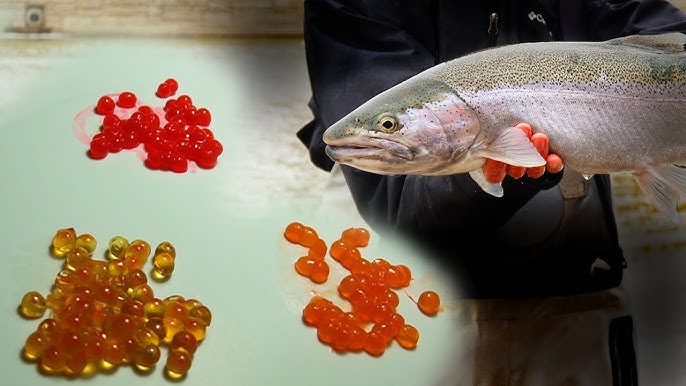 HOW TO CURE SALMON EGGS FOR FISHING BAIT, Simple and Effective Recipe for  Skeins or Single Eggs 