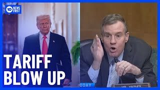 Trump’s Trade War: US Senate Erupts Over Beef Tariffs On Australia | 10 News First