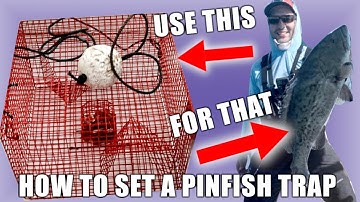 How to set a Pinfish Trap -So easy even I can do it!!!!