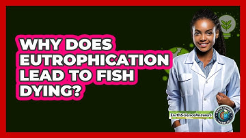 Why Does Eutrophication Lead To Fish Dying? - Earth Science Answers