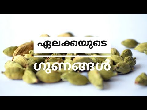 ഏലക്കയുടെ ആരോഗ്യ ഗുണങ്ങള്‍