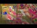 The Flaming Lips - The Spark That Bled (Official Audio)