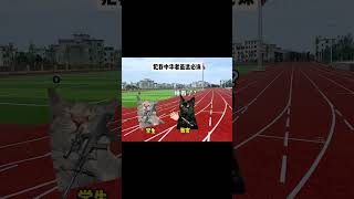 #猫meme #猫meme小剧场 #猫meme日常 #搞笑 #memes #内容过于真实