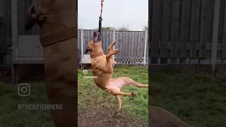 She Would Do This All Day If I Let Her