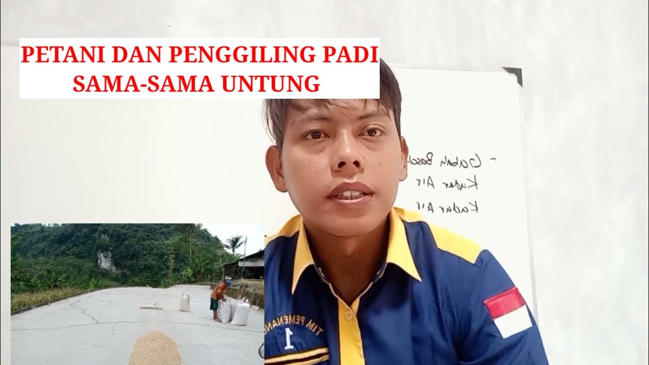 Giling Padi Cara Menghitung Penyusutan Gabah Basah Menjadi Kering Untuk Menentukan Harga