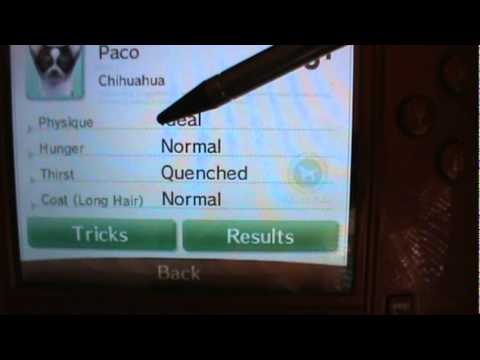 Comment obtenir votre nintendogs enceinte