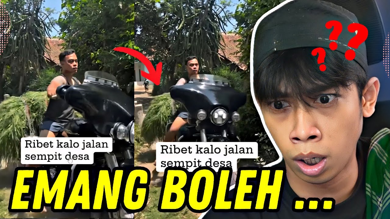 PAGI SUNMORI SORENYA CARI MAKAN SAPI 🔥‼️