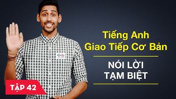 Tiếng Anh giao tiếp cơ bản - Bài 42: Nói lời tạm biệt [Học tiếng Anh giao tiếp #6]