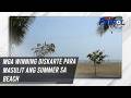 Mga winning diskarte para masulit ang summer sa beach | TV Patrol