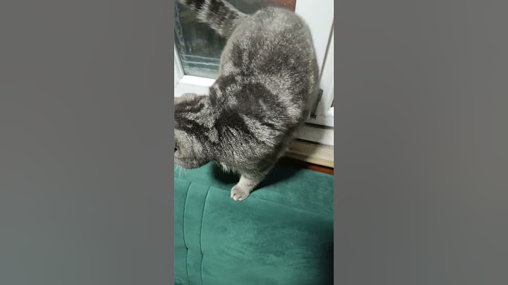 Bakın burada kim var 😻