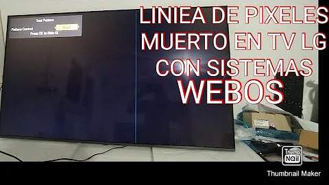 Chi conduce Linea Verde su Rai1?