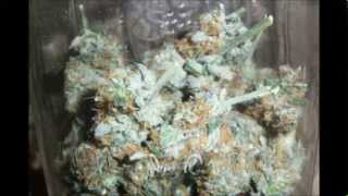Amnesia Harvest with Music from +Jay.P THE WAY I LIVE (ROYGBIV)