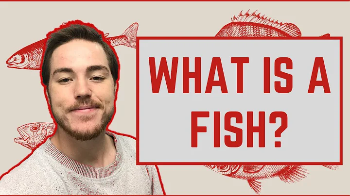 Ichthyology Lesson 1 - What Is A Fish? - DayDayNews