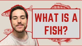 Ichthyology Lesson 1 - What Is A Fish?