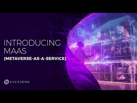 Introducing MaaS (Metaverse-as-a-service) 