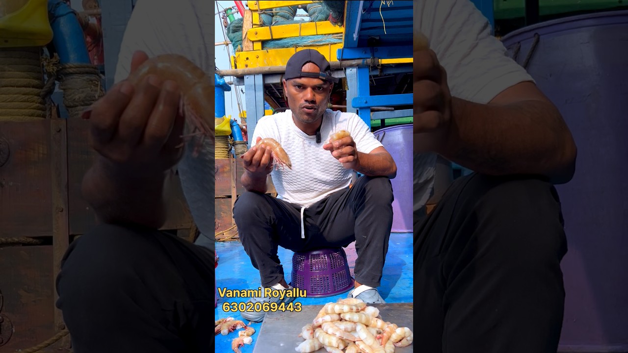 See prance #viralvideo #fishing #hyderabad #vizag #fishboat #trending #viralshorts #food #india
