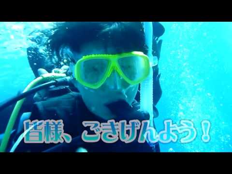 久米島でダイビング！ウミガメにクマノミ発見！【たかまつななの久米島探訪】