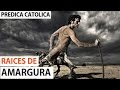 RAICES DE AMARGURA (Predica Catolica 2016)
