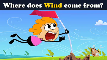 Come è la rete Wind?