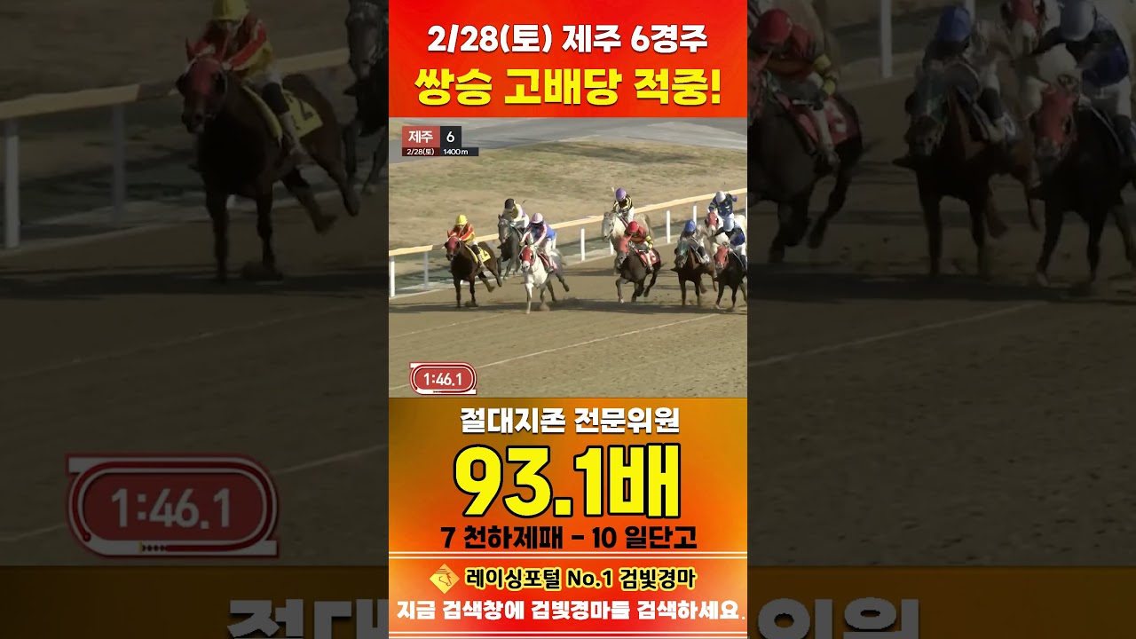 [제주 경마] 2월 28일 토요 6경주 절대지존 전문위원 쌍승 고배당 적중 #경마 #horse #한국마사회 #automobile #하이라이트 #riding #sports #게임