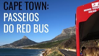 Cape Town sem carro: Passeios do Red Bus screenshot 3
