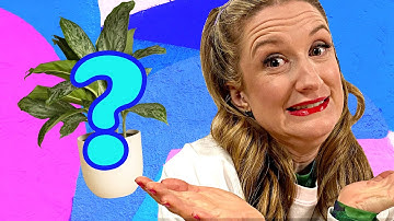 Are We Smarter Than a Science Fair? | The Loop Show